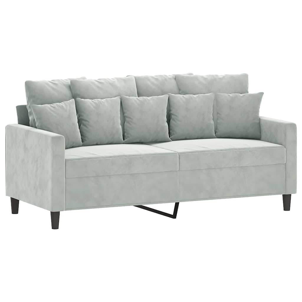 Light Gray Velvet 2-Seater Sofa R75272