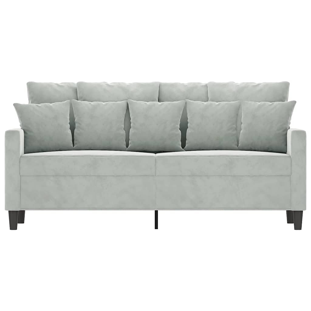 Light Gray Velvet 2-Seater Sofa R75272