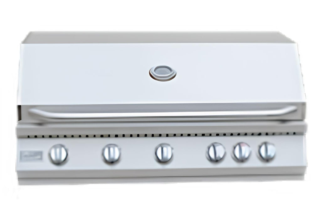5 Burner Built-In Stainless Steel Propane Gas Grill with Back Burner L25532
