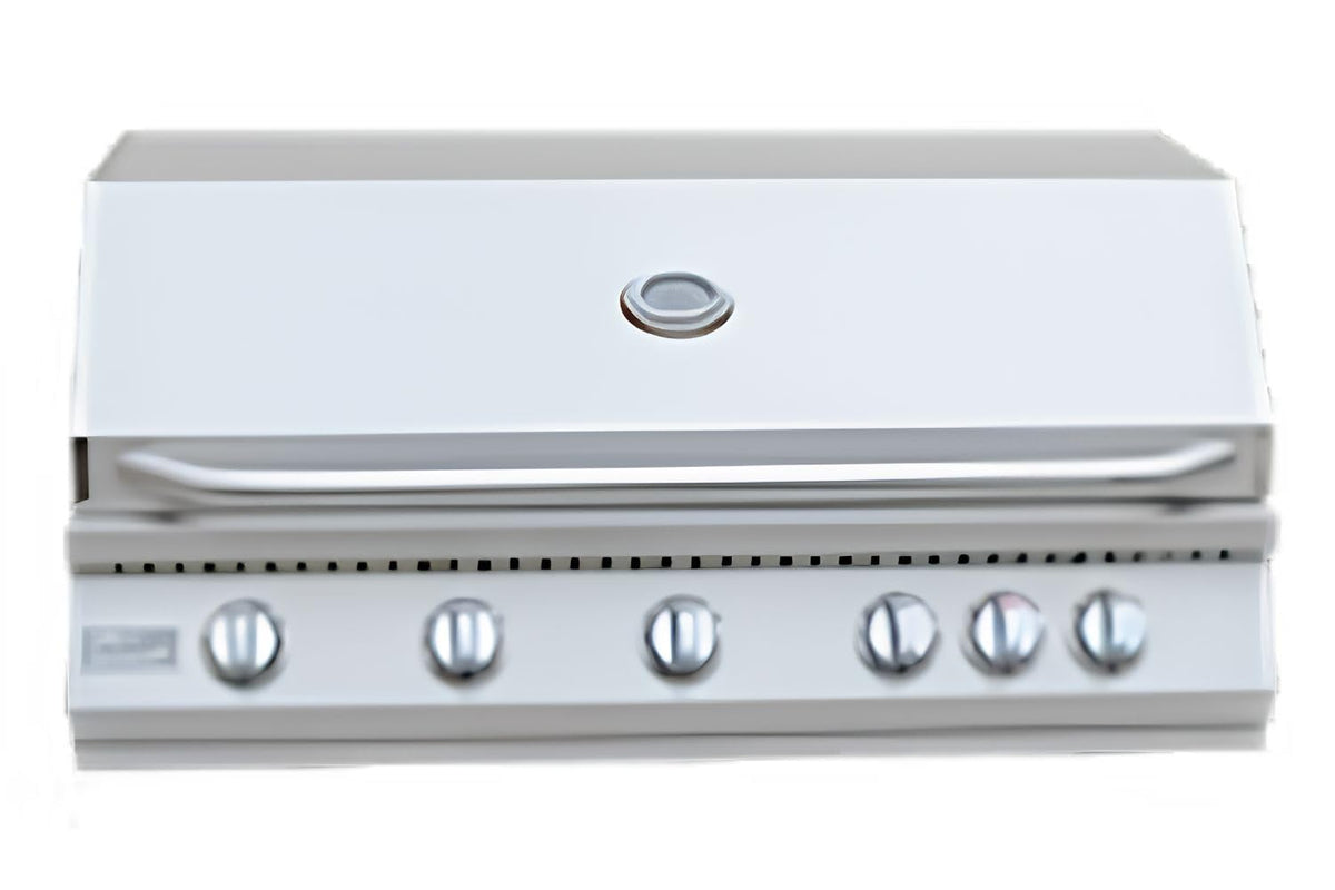 5 Burner Built-In Stainless Steel Propane Gas Grill with Back Burner L25532
