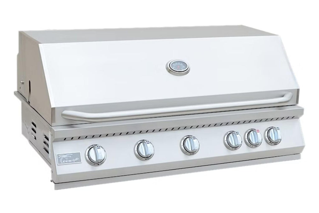 5 Burner Built-In Stainless Steel Propane Gas Grill with Back Burner L25532