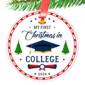 2026 Christmas Ornament E283