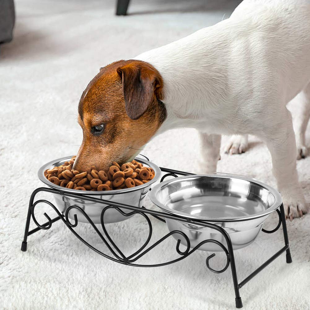 Double Elevated Pet Bowl R36272
