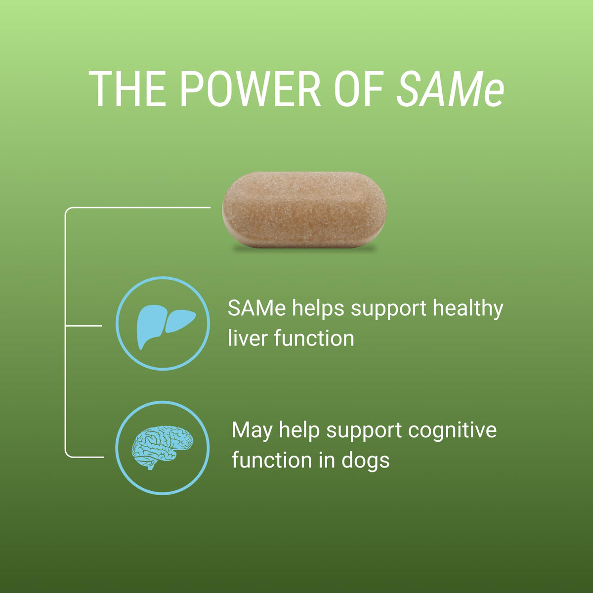 Liver & Brain Supplement for Large Dogs, 30ct Tablets Z4124