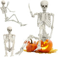 5.4 ft Full Body Plastic Skeleton Prop Y822
