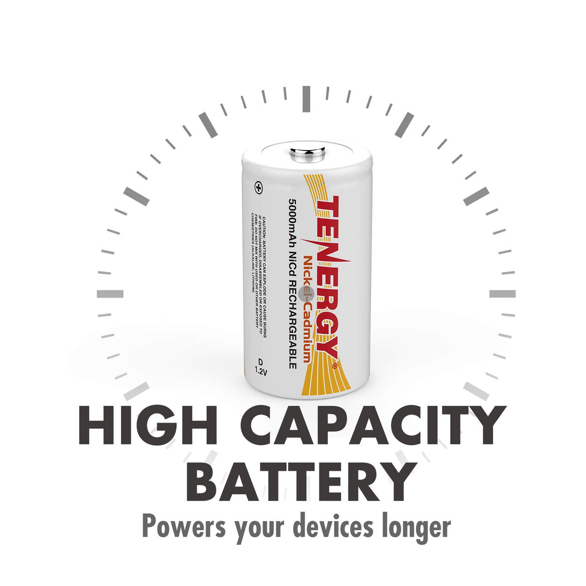 Rechargeable NiCd D Batteries and LCD Smart Charger Y6258