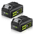 20V Max 5.0Ah Lithium Battery 2 Pack N88078