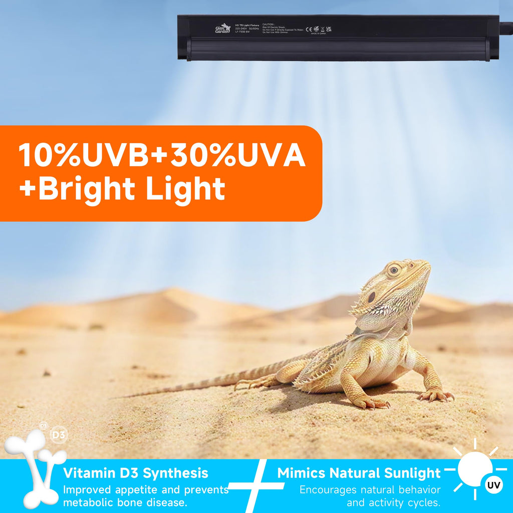 10.0 UVB Reptile Lighting Combo Kit 12-Inch 8W V6047