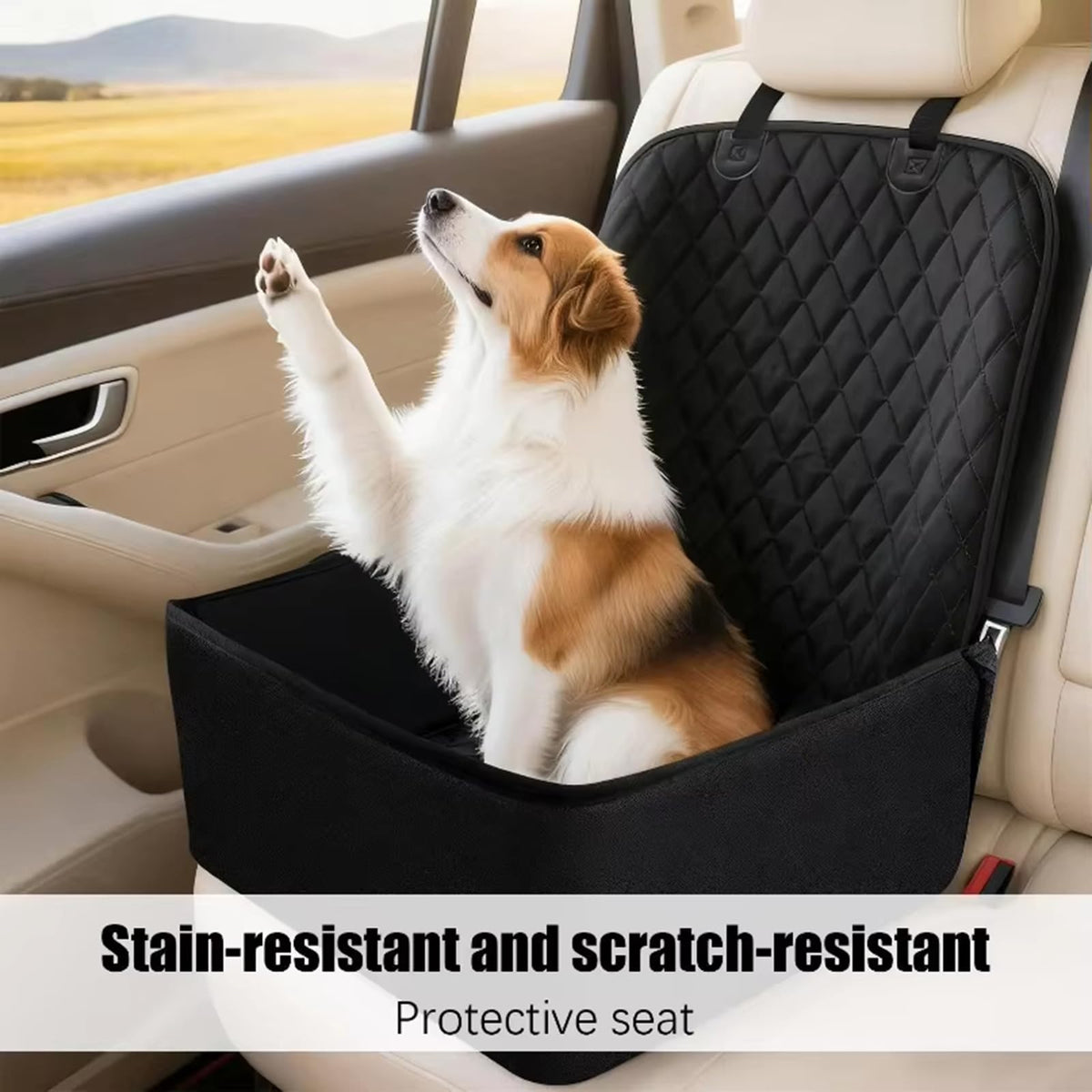 Dog Car Seat Cover Z555