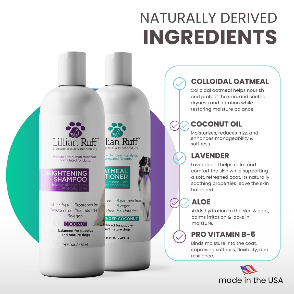 Brightening Shampoo & Oatmeal Conditioner Set for Dogs V760