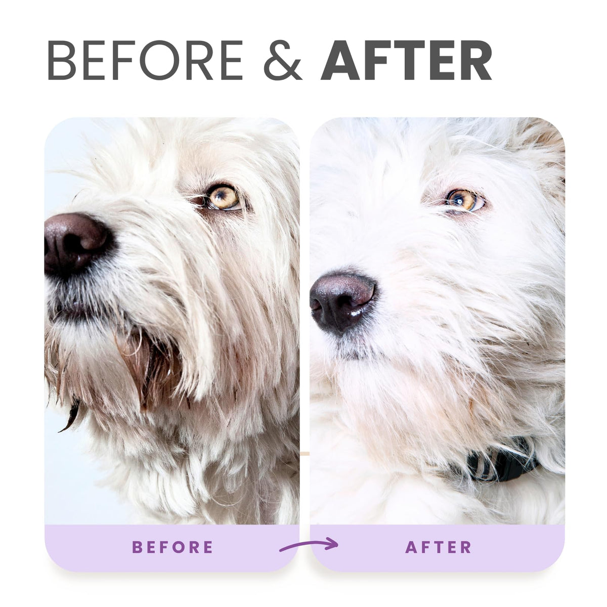 Brightening Shampoo & Oatmeal Conditioner Set for Dogs V760