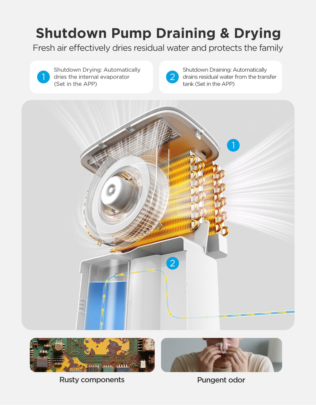 Dehumidifier with WiFi S617