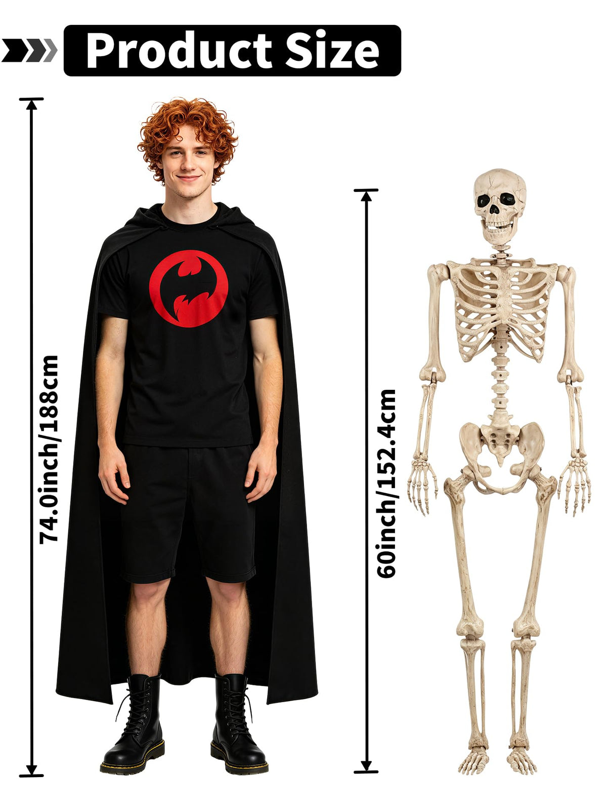 Life Size Posable Skeleton with Movable Joints U2675