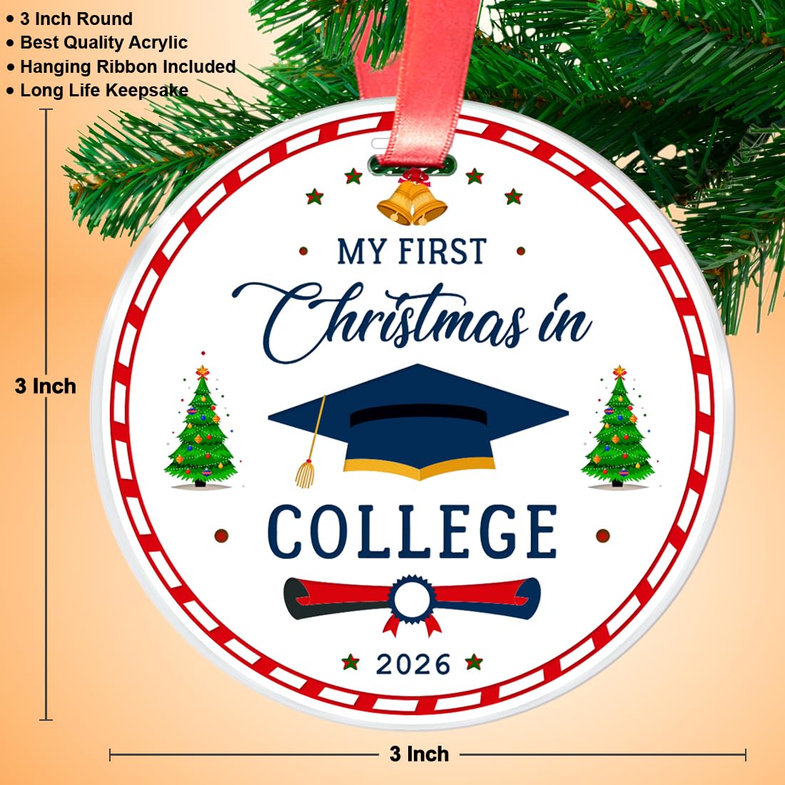 2026 Christmas Ornament E283