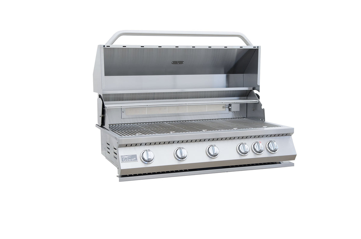 5 Burner Built-In Stainless Steel Propane Gas Grill with Back Burner L25532
