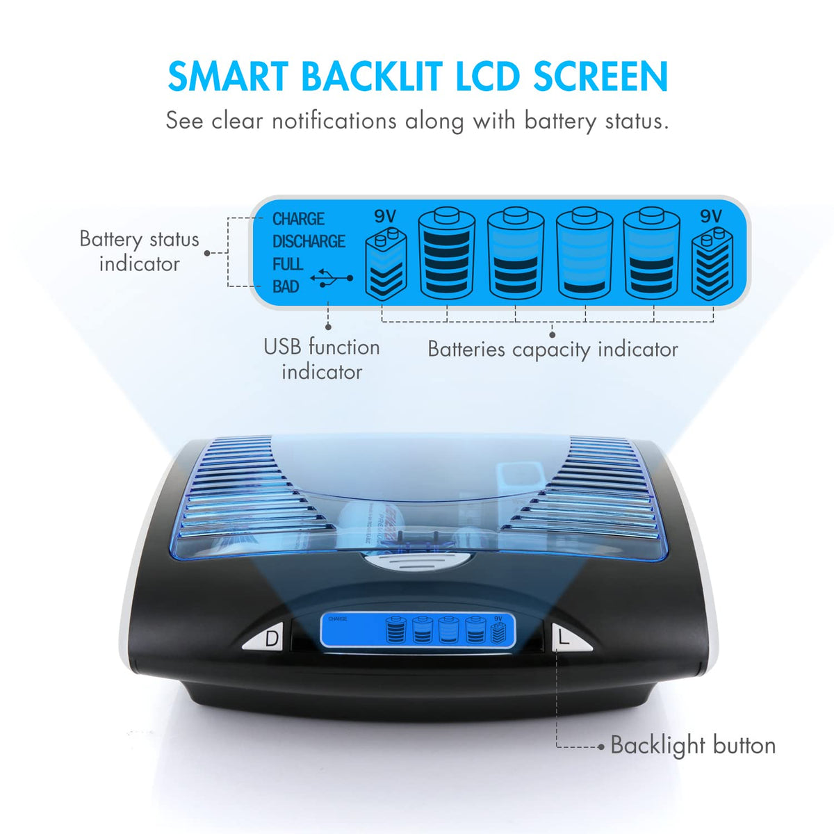 Rechargeable NiCd D Batteries and LCD Smart Charger Y6258