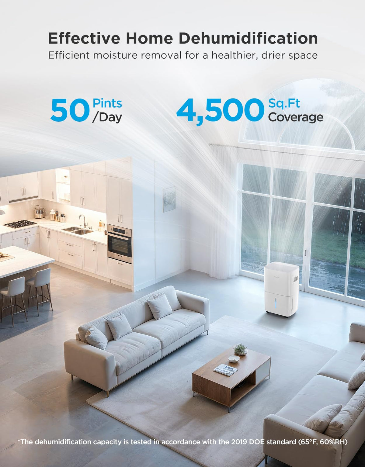 Dehumidifier with WiFi S617