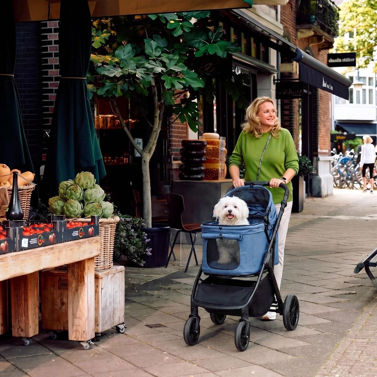 Foldable Dog Stroller I5169