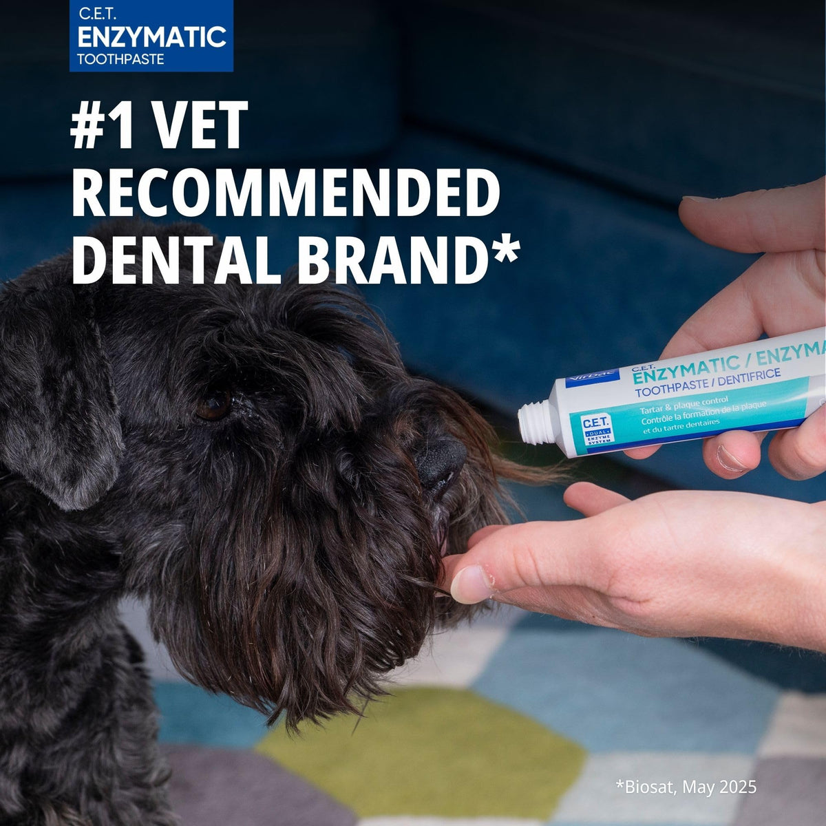 Seafood flavor Cat Toothpaste with Toothbrush O865658