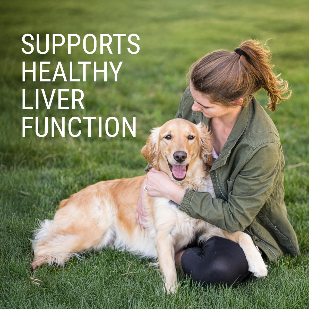 Liver & Brain Supplement for Large Dogs, 30ct Tablets Z4124