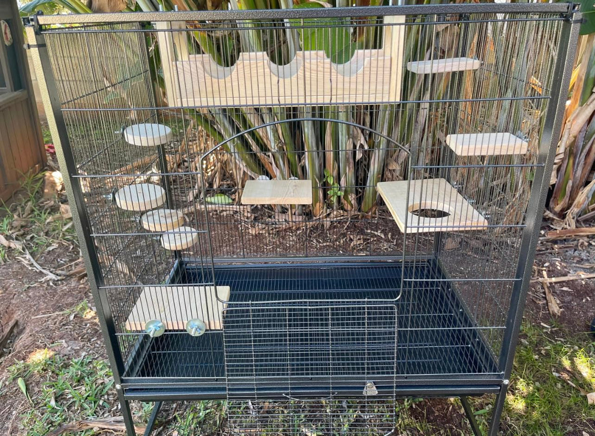 10 Piece Pine Pet Steps and Ledges K7544