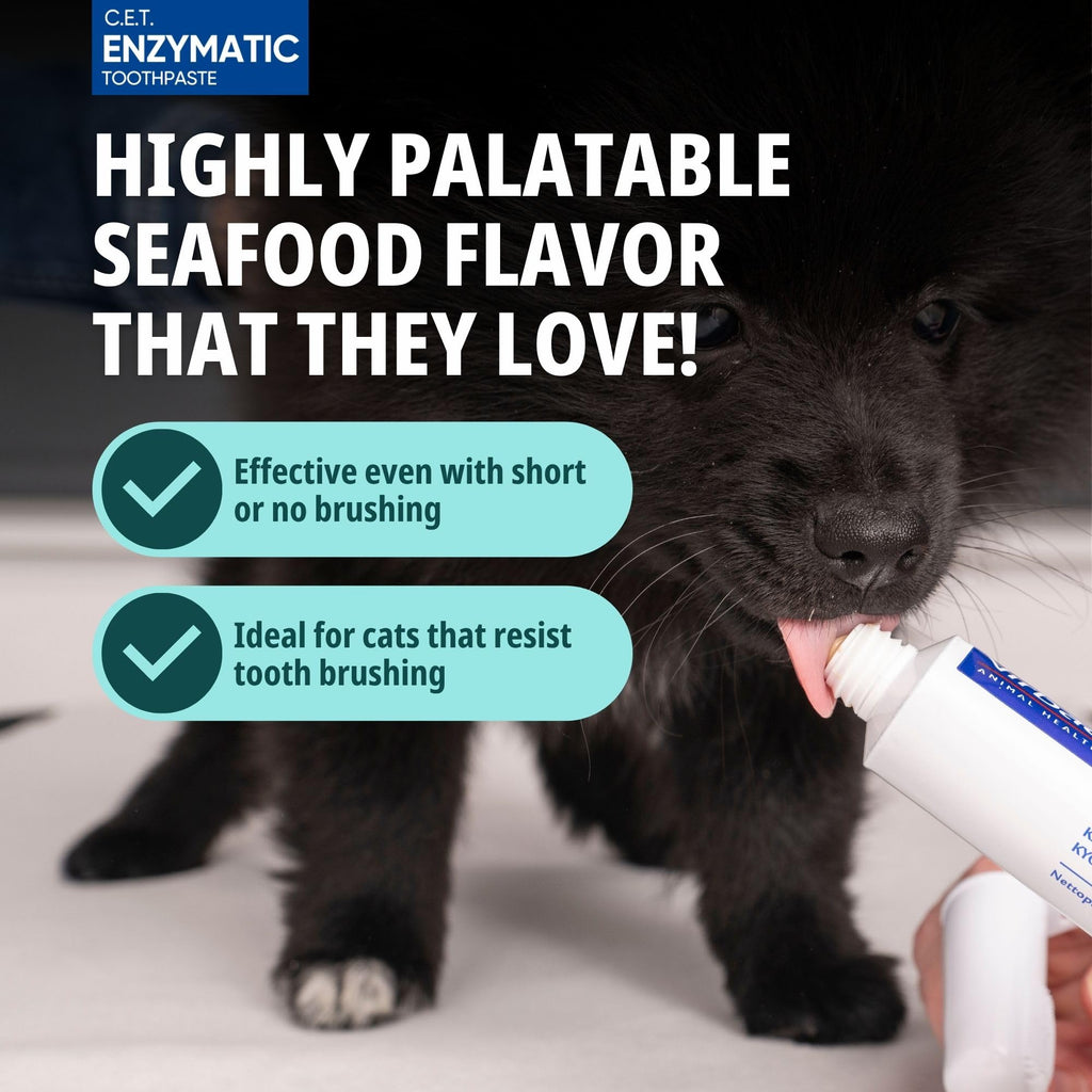 Seafood flavor Cat Toothpaste with Toothbrush O865658