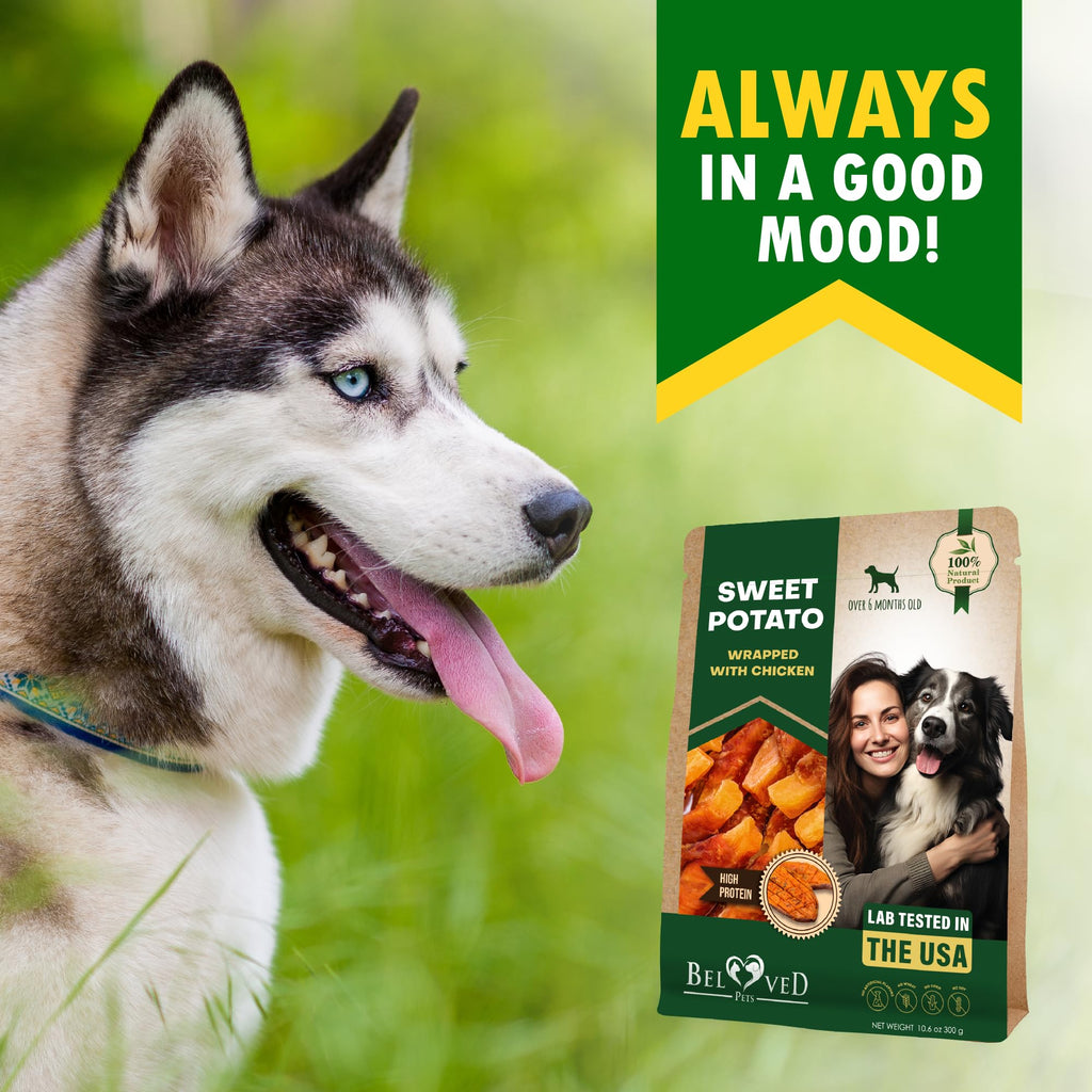 Sweet Potato Dog Treats & Chicken Chews 10.6 Oz W9580