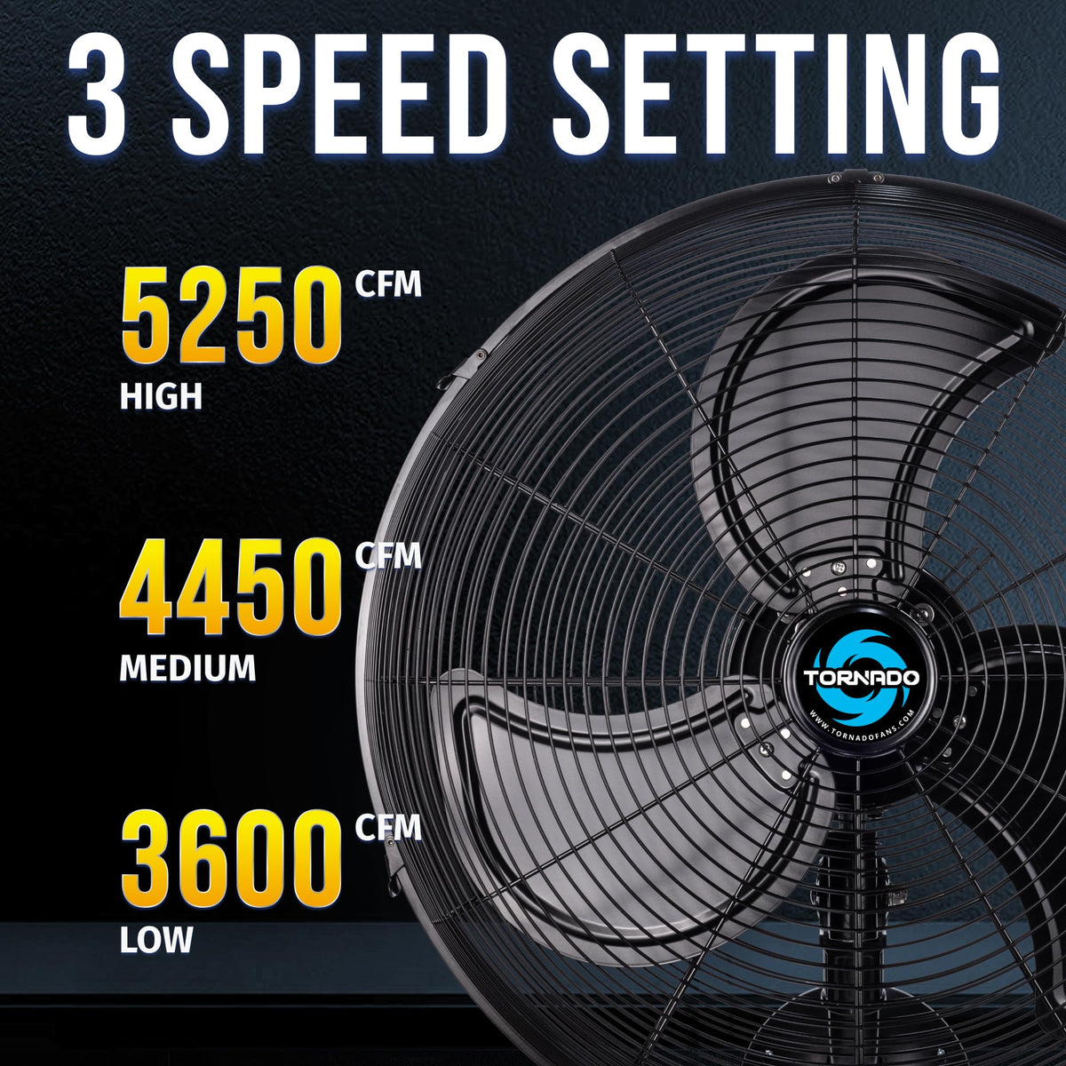 20 Inch Oscillating 3-Speed Waterproof Wall Mount Fan D5377