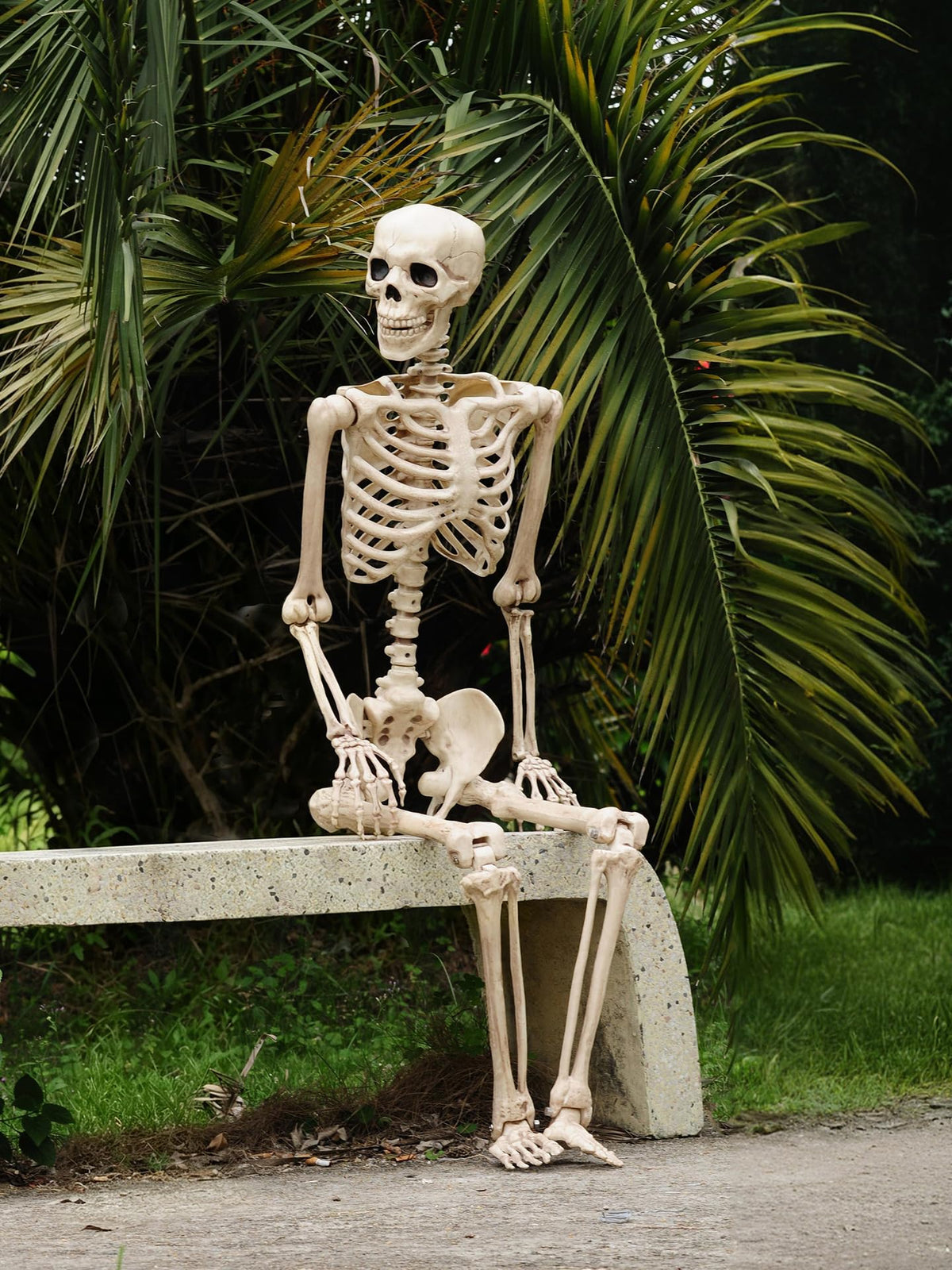 Life Size Posable Skeleton with Movable Joints U2675
