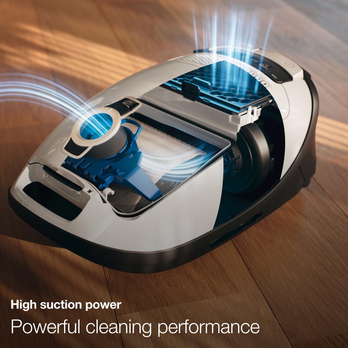 Classic C1 Pure Suction Vacuum N460
