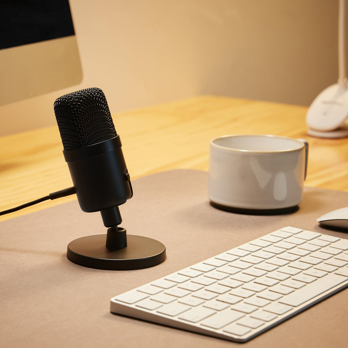 USB Condenser Microphone with Adjustable Stand, Black S869