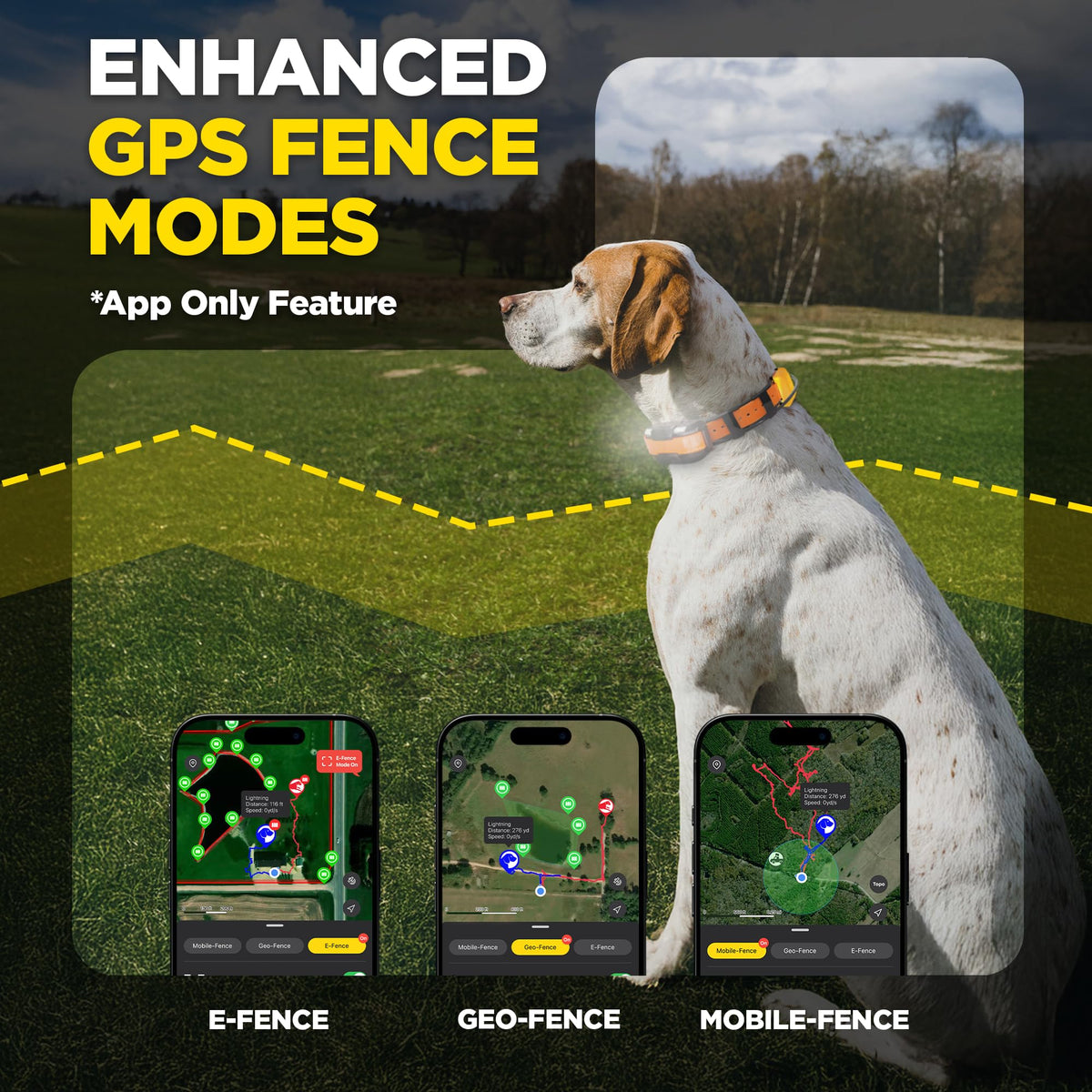 GPS Dog Tracking and Training System I398